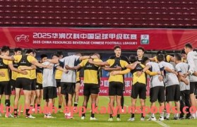 开云体育app下载-意甲共有多少支球队参加顶级联赛?历史与现状