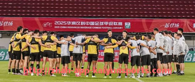 开云体育app下载-意甲共有多少支球队参加顶级联赛？历史与现状